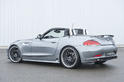 Hamann BMW Z4 8