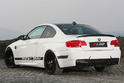 Leib BMW M3 GT 500 2