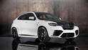 Mansory BMW X6M 2