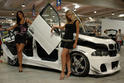 PowerTuning BMW E46 320D 5