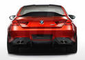 Risden 2013 BMW M6 2