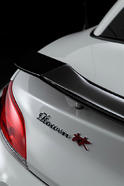 Rowen BMW Z4 White Wolf 12