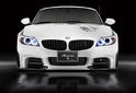 Rowen BMW Z4 White Wolf 3
