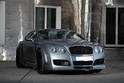 ANDERSON Bentley Continental Supersports 8