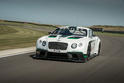 Bentley Continental GT3 23