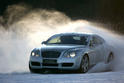 Bentley Power Ice 7