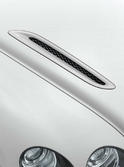 Bentley Supersports Ice Speed Record 12