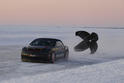 Bentley Supersports World Speed Record 12