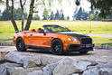 Mansory Bentley Continental GTC 6