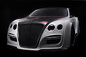 TETSU GTR Bentley Continental GT 1