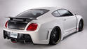 TETSU GTR Bentley Continental GT 10