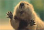 Bridgestone 2011 Super Bowl Ad