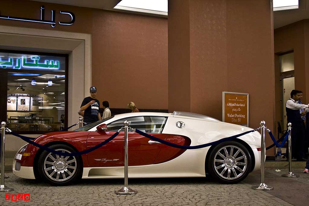 Bugatti-Veyron-Pegaso-8.jpg
