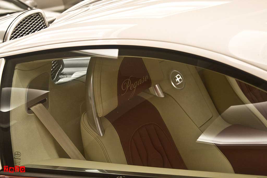 Bugatti-Veyron-Pegaso-9.jpg