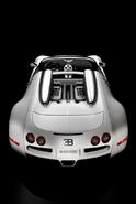 Bugatti Veyron Cabrio 21