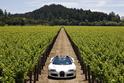Bugatti Veyron Grand Sport 14