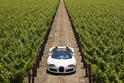 Bugatti Veyron Grand Sport 15