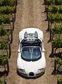 Bugatti Veyron Grand Sport 17
