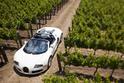 Bugatti Veyron Grand Sport 19