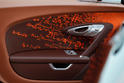 Bugatti Veyron Grand Sport Venet 16