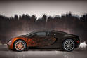 Bugatti Veyron Grand Sport Venet 7