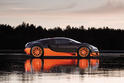Bugatti Veyron Super Sport 23