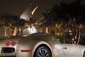 Gold Bugatti Veyron 15