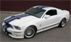 CDC StangNet Glassback Shelby GT500