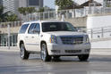 2008 Cadillac Escalade Platinum 5