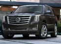 2015 Cadillac Escalade 15
