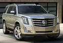 2015 Cadillac Escalade 18