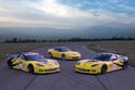 2009 Corvette C6R GT2 8