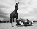 Chevrolet Lacetti Real horse power 4