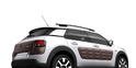 Citroen C4 Cactus 10