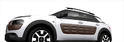 Citroen C4 Cactus 11