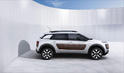 Citroen C4 Cactus 17