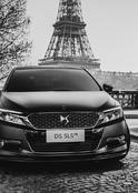 Citroen DS 5LS R 12