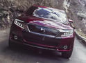 Citroen DS Wild Rubis 3