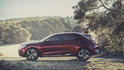 Citroen DS Wild Rubis 47