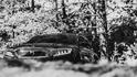 Citroen DS Wild Rubis 53