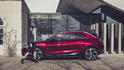 Citroen DS Wild Rubis 8