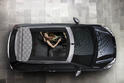 Citroen DS3 Cabrio 43