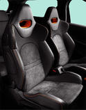 Citroen DS3 R 21