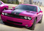 Dodge Challenger Furious Fuchsia
