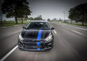 Dodge Dart Mopar 13