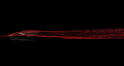 SRT Tomahawk Vision Gran Turismo 8