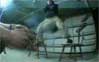 Video: Epic Airbag Nutshot