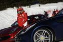 Fernando Alonso Felipe Massa Ferrari FF 33