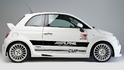 Alpine Fiat 500 2
