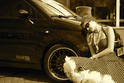 HR Fiat 500 10